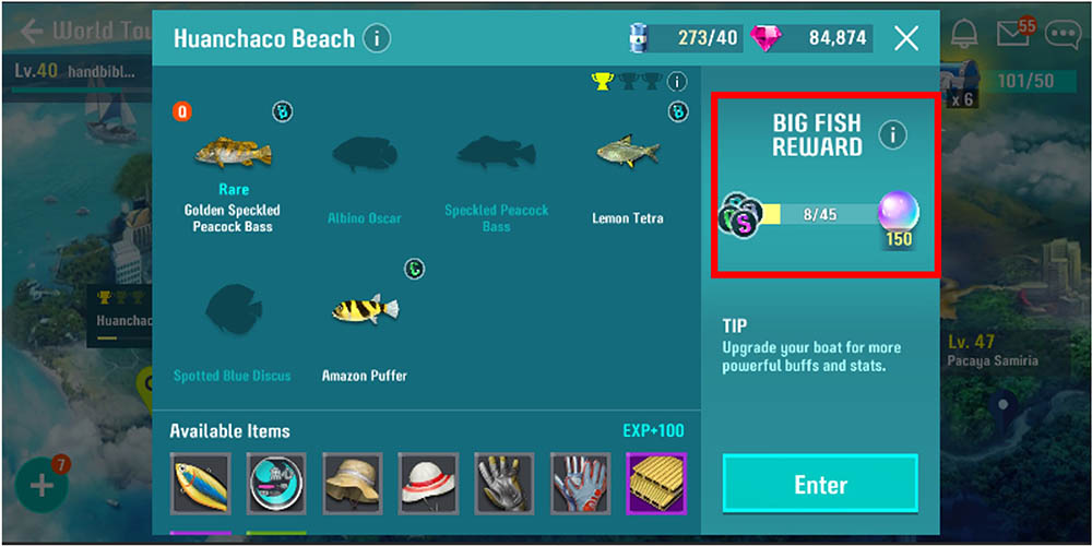 Big Fish Reward image